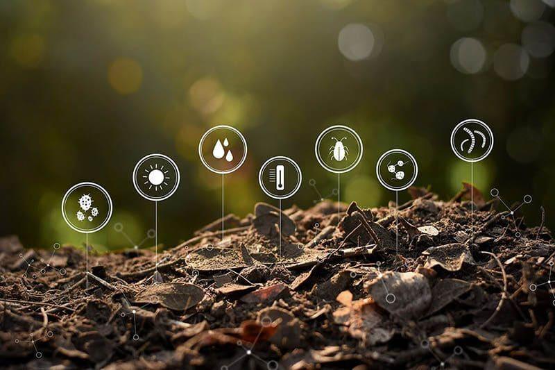 Lợi ích của phân bón hữu cơ