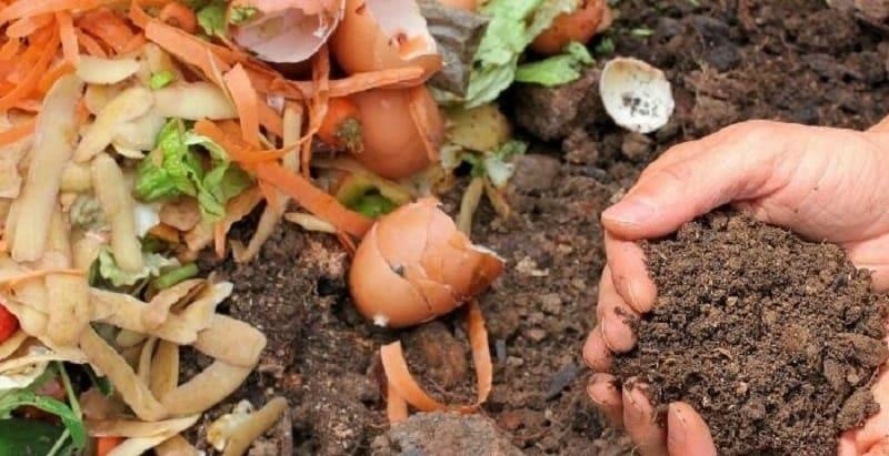 làm phân bón bằng thức ăn thừa