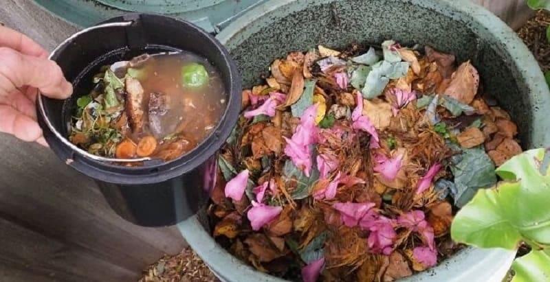 làm phân bón bằng thức ăn thừa