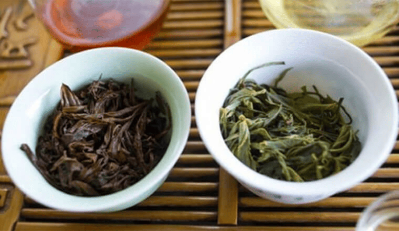 dùng bả trà bón cây