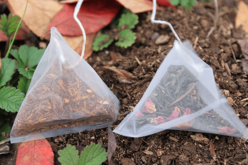 dùng bả trà bón cây