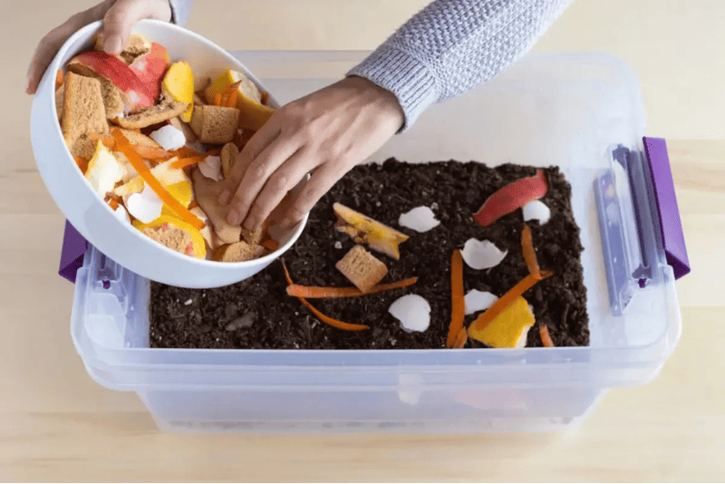 cách làm phân bón từ bã trái cây