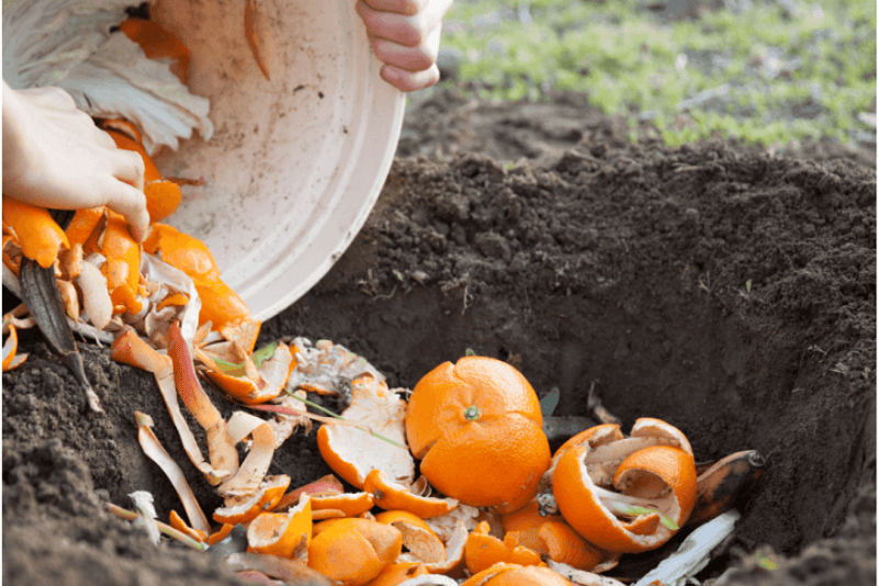 cách làm phân bón từ bã trái cây