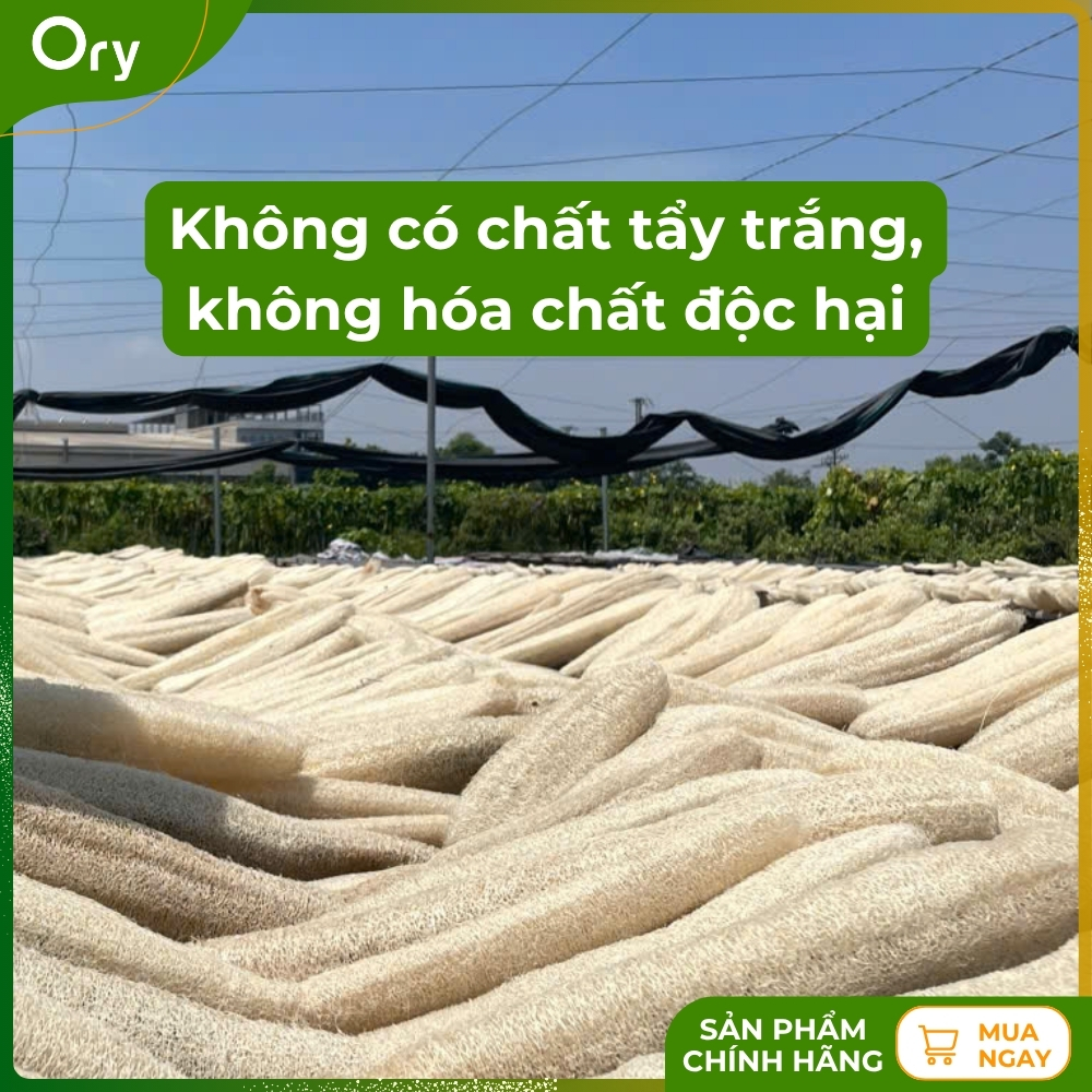 set-2-mieng-rua-bat-xo-muop-hinh-chu-nhat-size-m (4).jpg