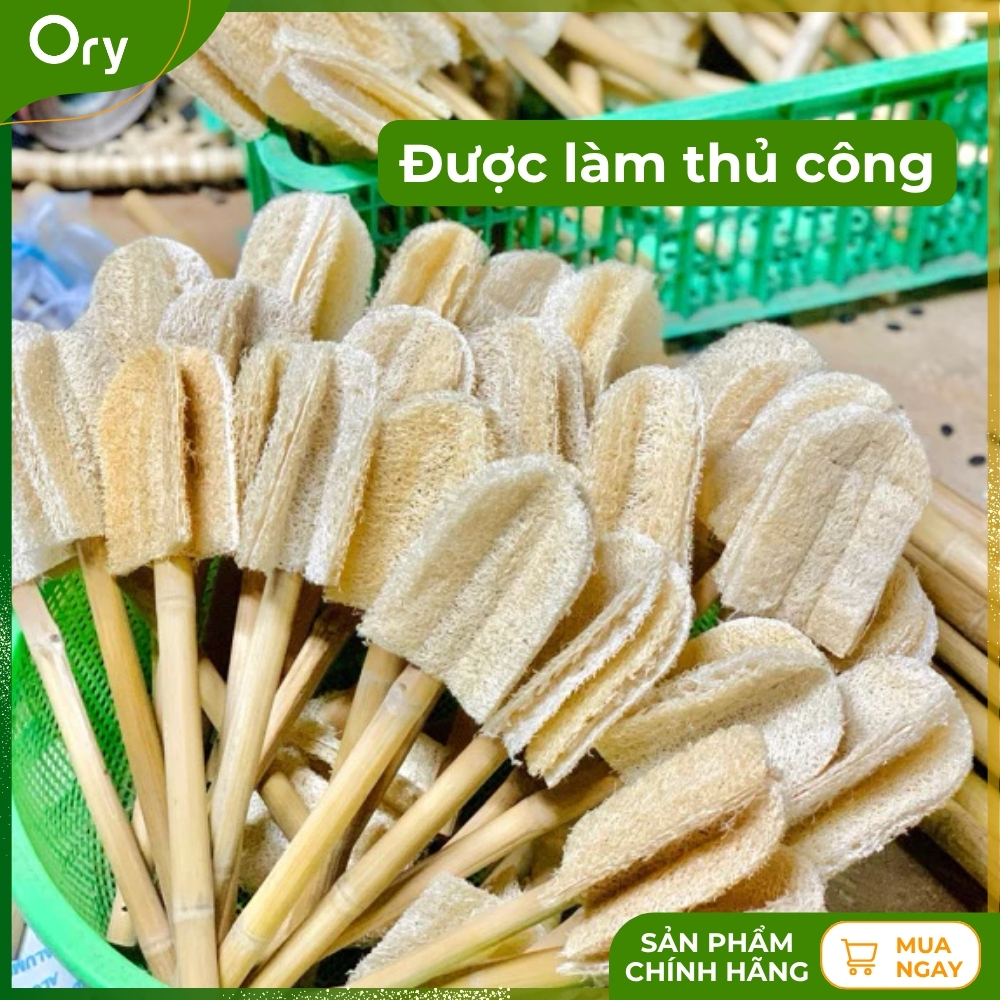 cay-rua-ly-xo-muop-bon-canh (2).jpg