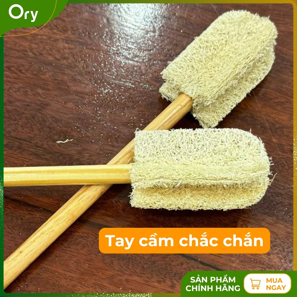 cay-rua-ly-xo-muop-bon-canh (3).jpg