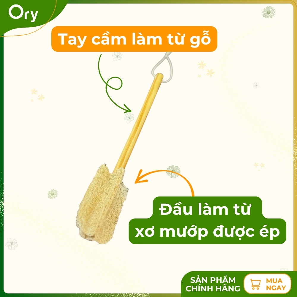 cay-rua-ly-xo-muop-bon-canh (5).jpg