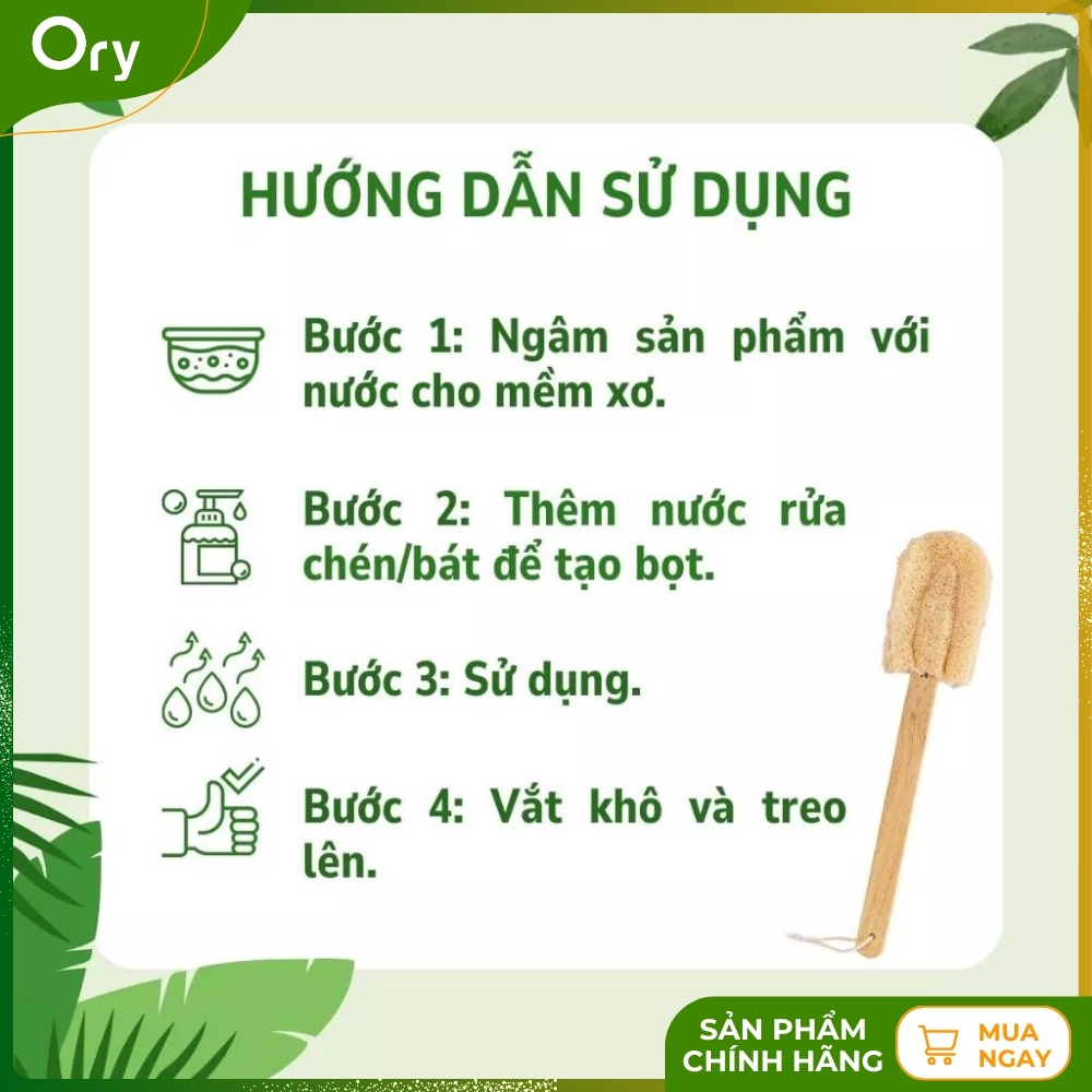 cay-rua-ly-xo-muop-bon-canh (8).jpg