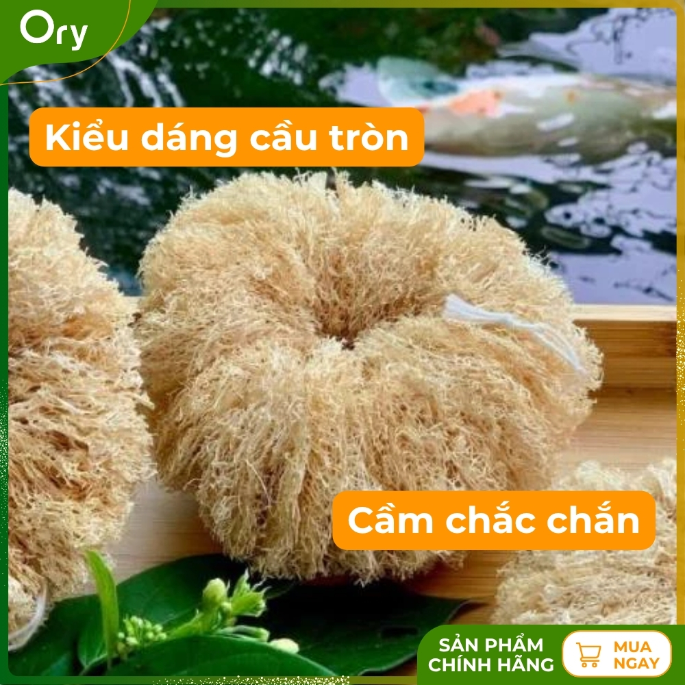 co-rua-da-nang-xo-muop-dang-bui-nhui (3).jpg