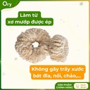 co-rua-da-nang-xo-muop-dang-bui-nhui (5).jpg