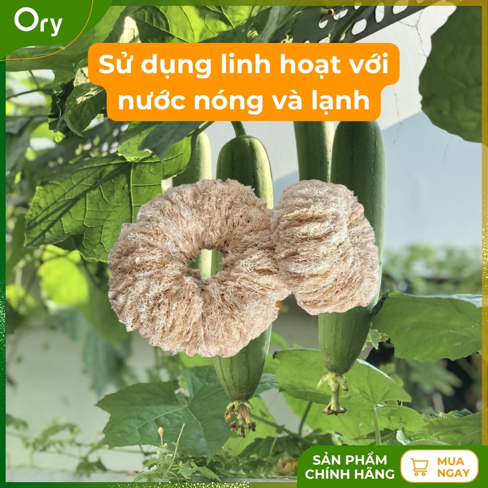 co-rua-da-nang-xo-muop-dang-bui-nhui (7).jpg