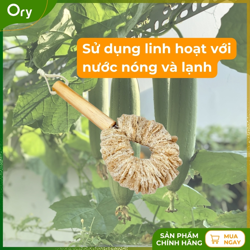 co-rua-da-nang-xơ-muop-dang-bui-nhui-can-10cm (7).jpg