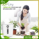 may-tai-che-rac-huu-c-ory-P100001 (11).jpg