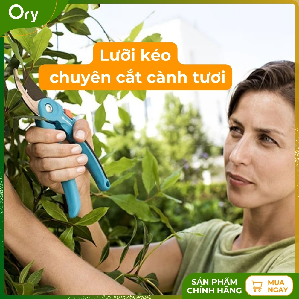 kim-cat-canh-co-dien-mui-hech-gardena-cao-cap-G200005 (3).jpg