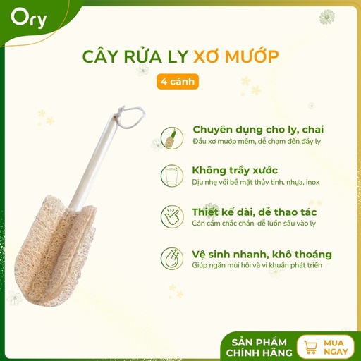 [G110004] Cây Rửa Ly Xơ Mướp 4 Cánh